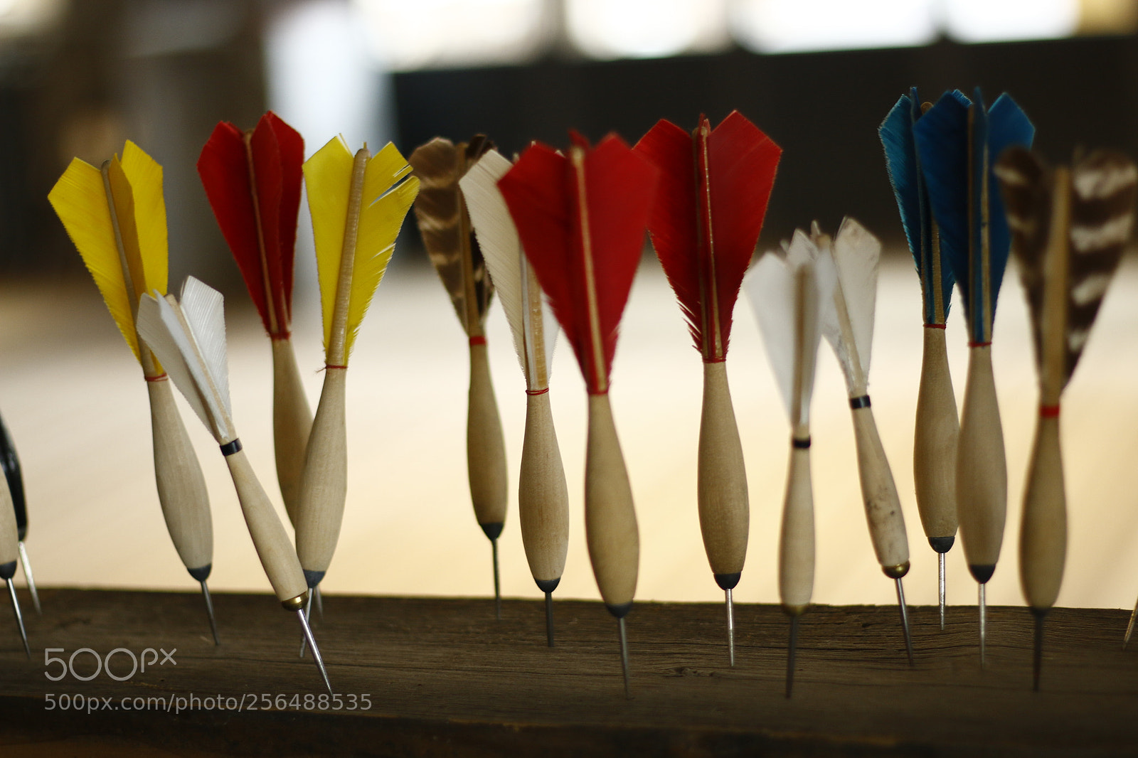 Canon EOS 70D + Canon EF 50mm F1.8 STM sample photo. Mg photography