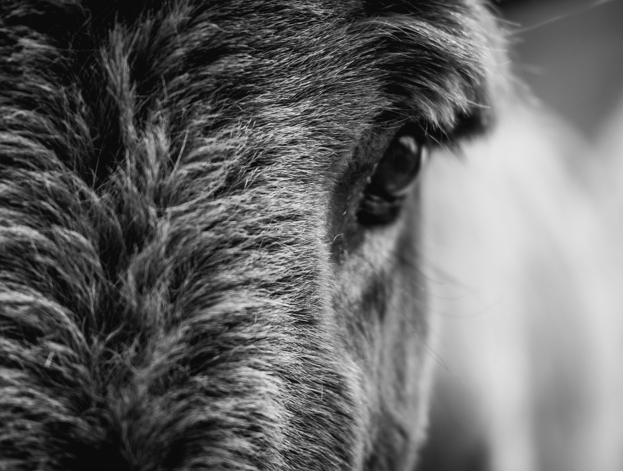 Fujifilm X-E2S sample photo. My name is turbo photography