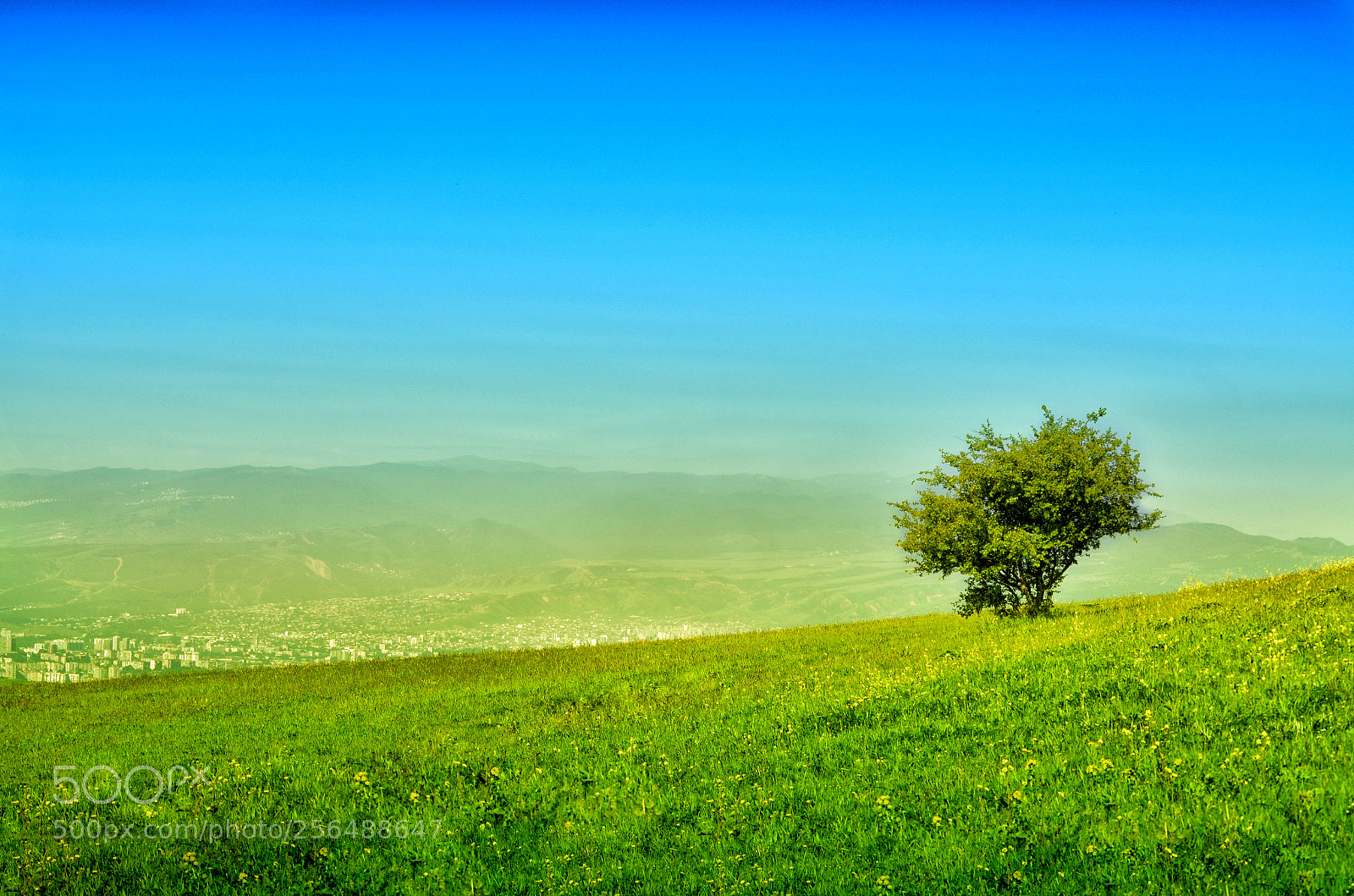 Nikon D5100 sample photo. Spring photography