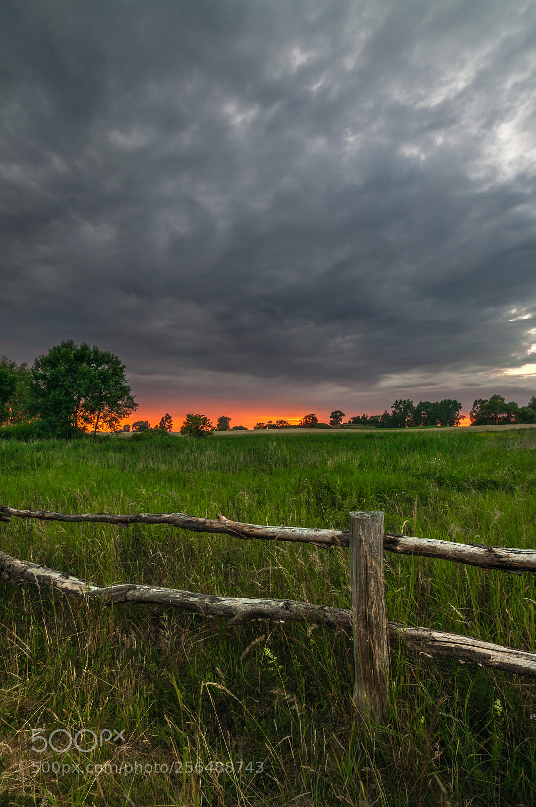 Nikon D90 sample photo. Sunset photography