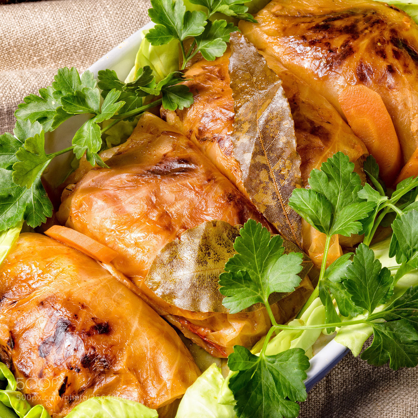 Nikon D810 sample photo. Baked cabbage rolls in photography