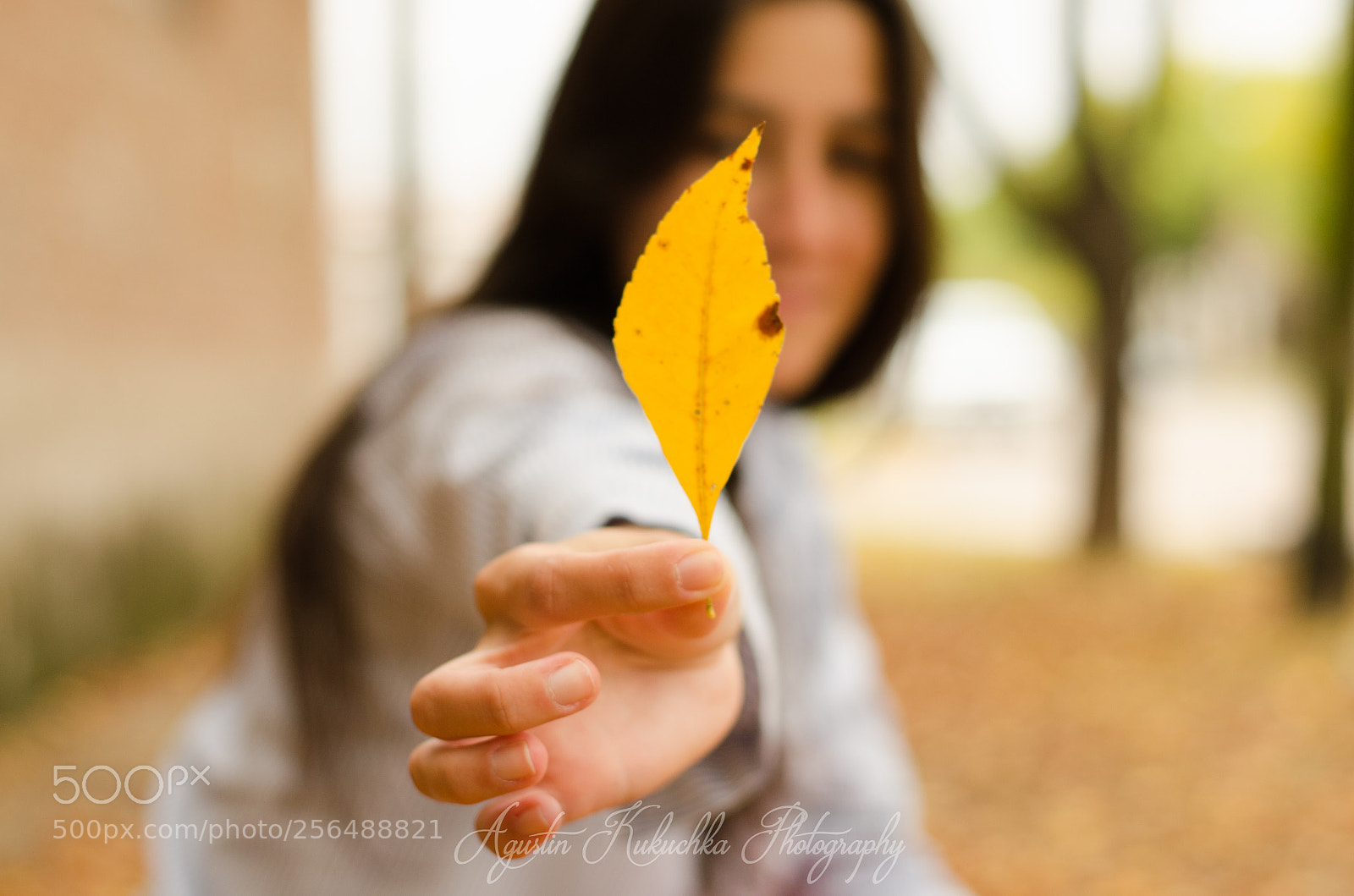 Nikon D5100 sample photo. Otoño photography