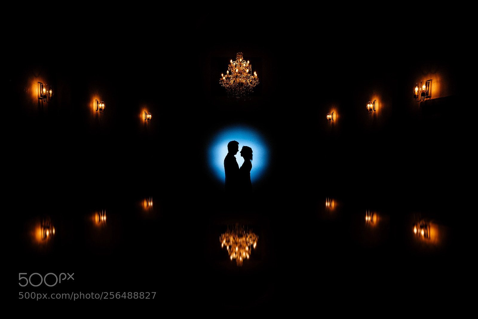 Nikon D750 sample photo. We are light photography