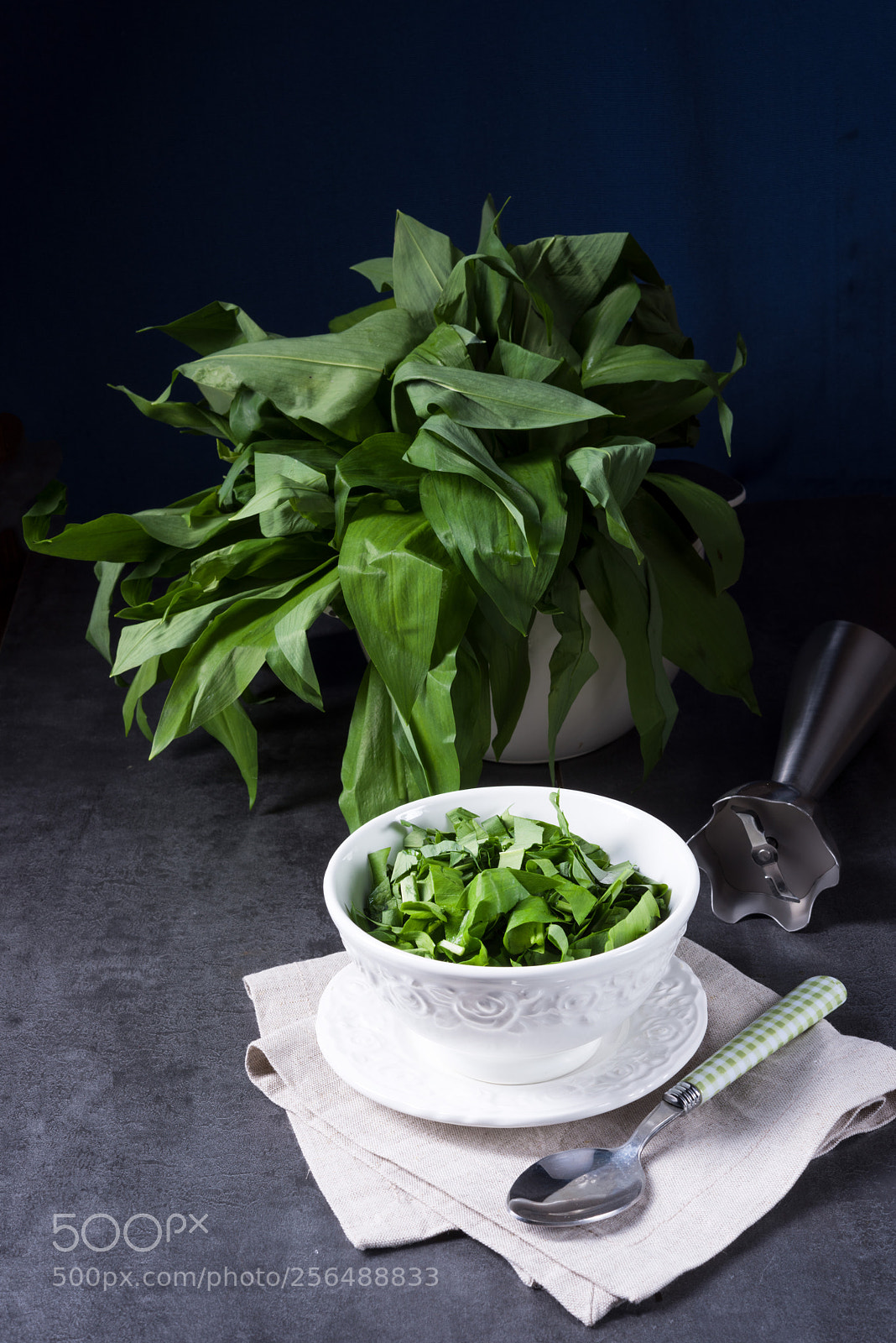 Nikon D810 sample photo. Wild garlic stripes for photography