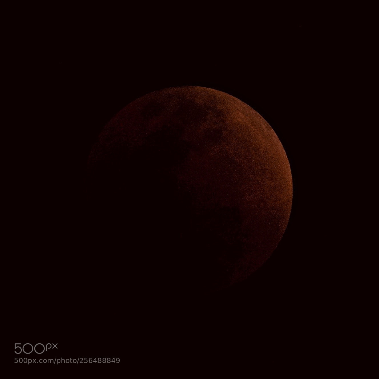 Nikon D7100 sample photo. Lunar eclipse photography
