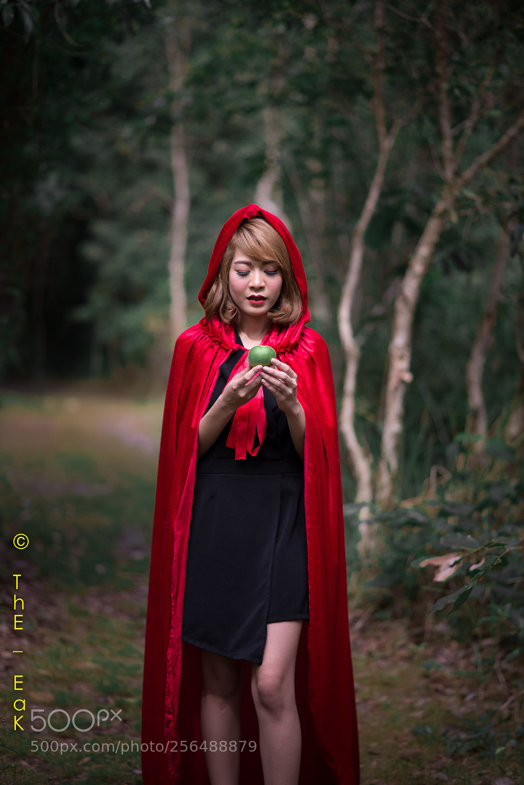 Nikon D610 sample photo. Eak photography