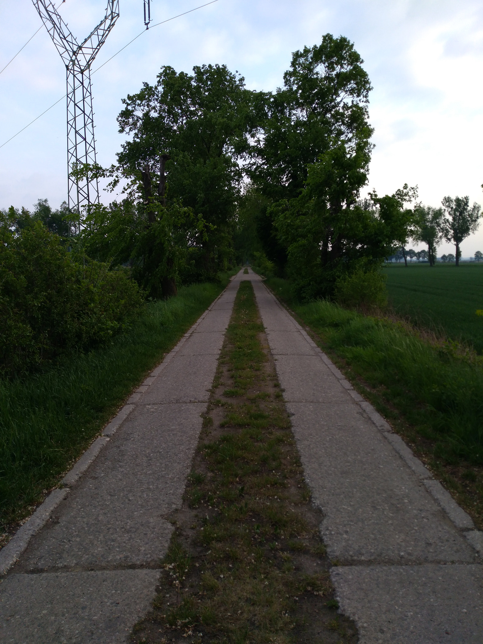 HUAWEI P9 LITE MINI sample photo