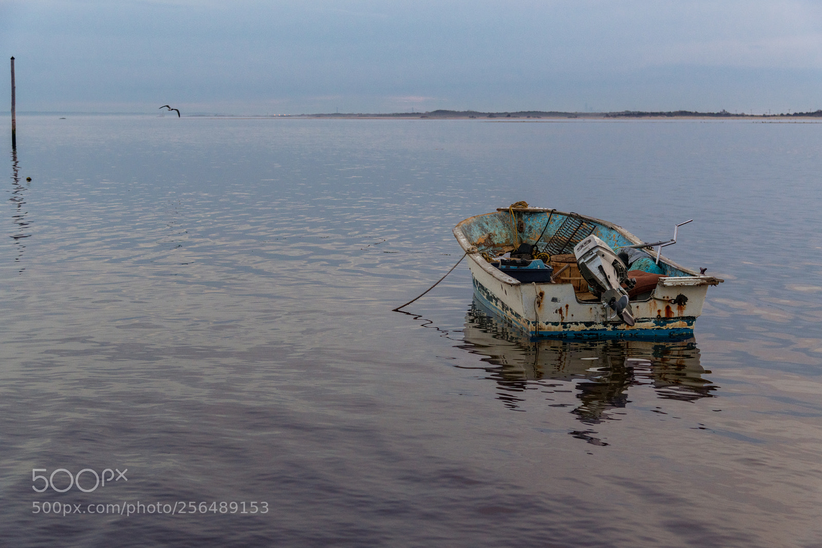 Nikon D850 sample photo. Fishing boat photography