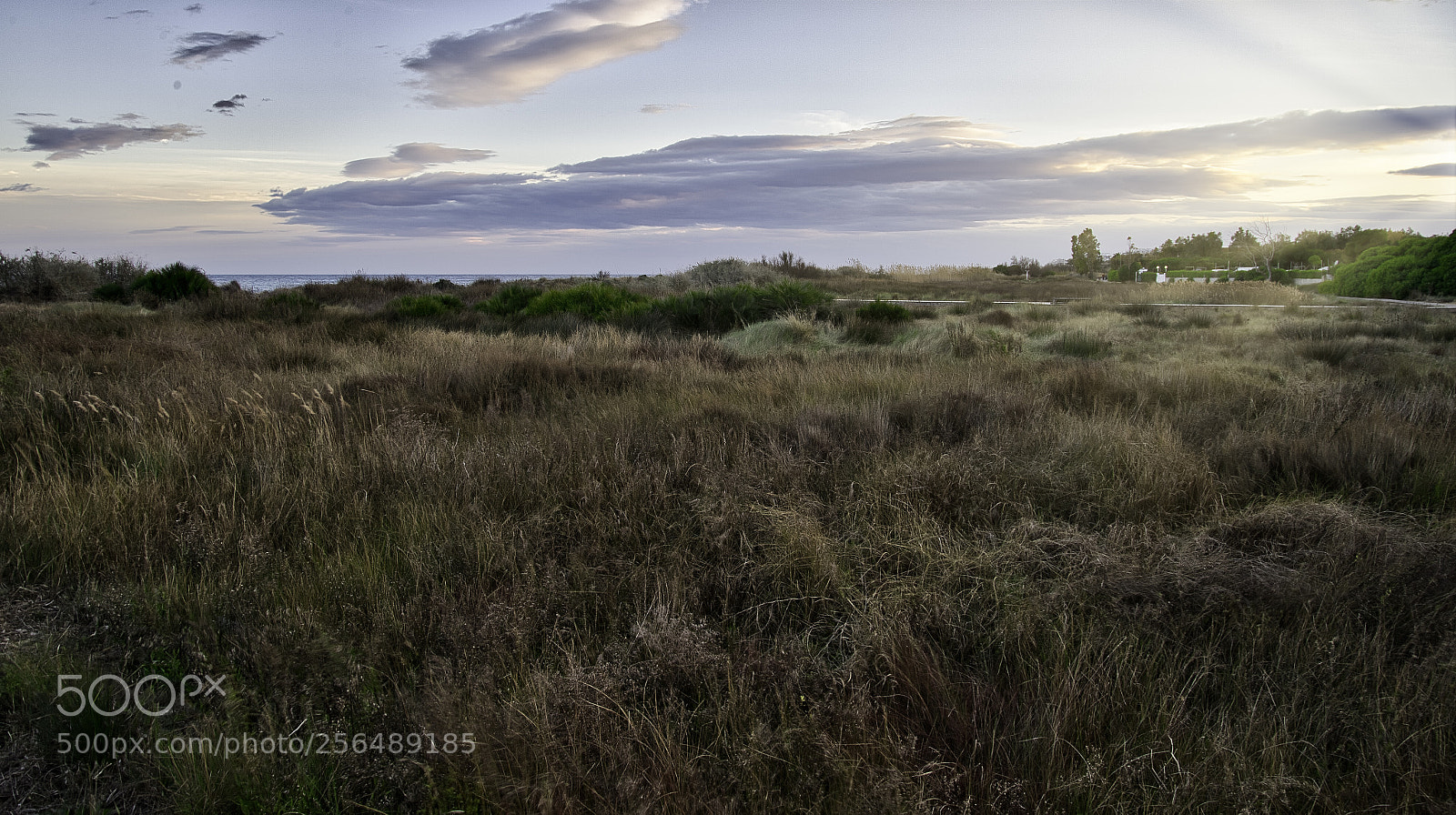 Nikon Df sample photo. Protected area photography