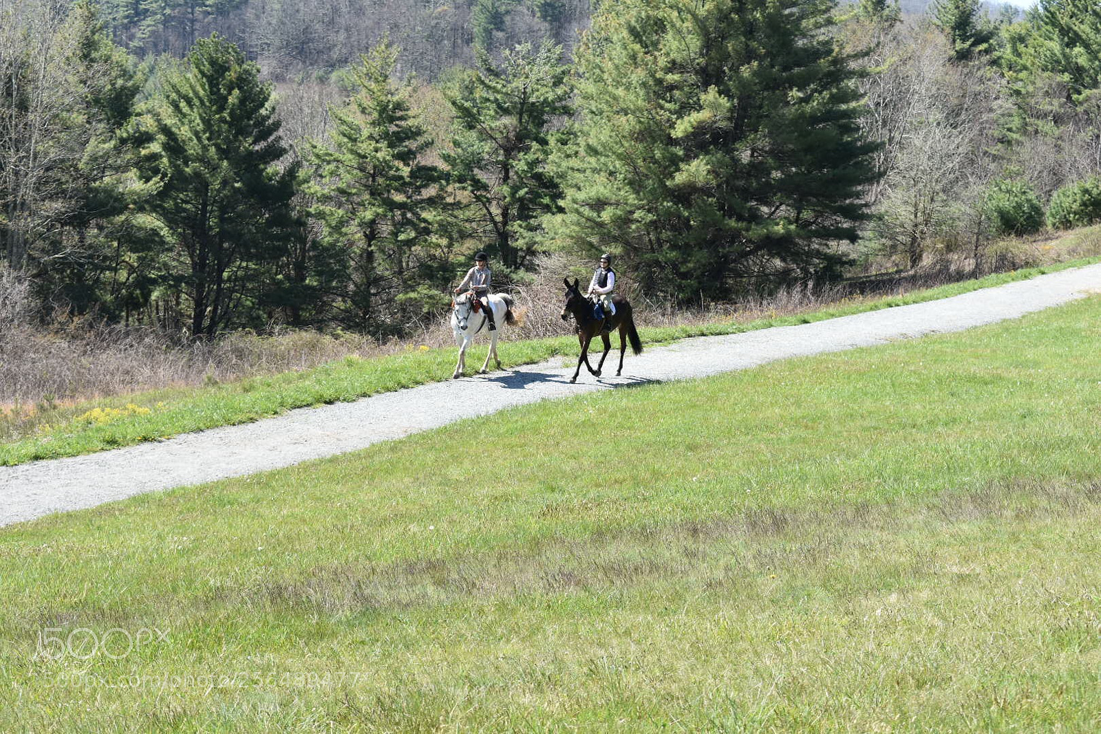 Nikon D3400 sample photo. Rides  photography