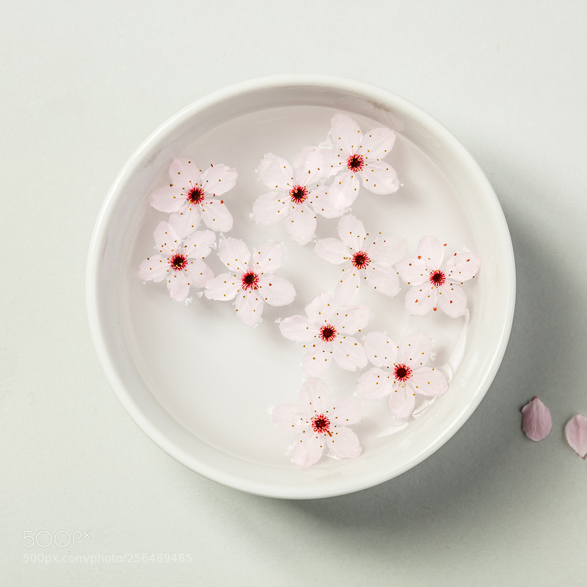 Canon EOS 5DS R sample photo. Zen bowl with water photography