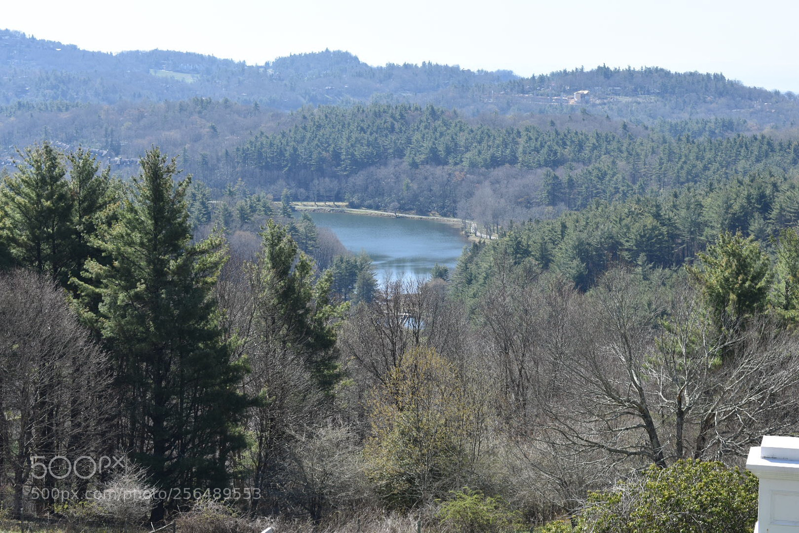 Nikon D3400 sample photo. Lake view  photography