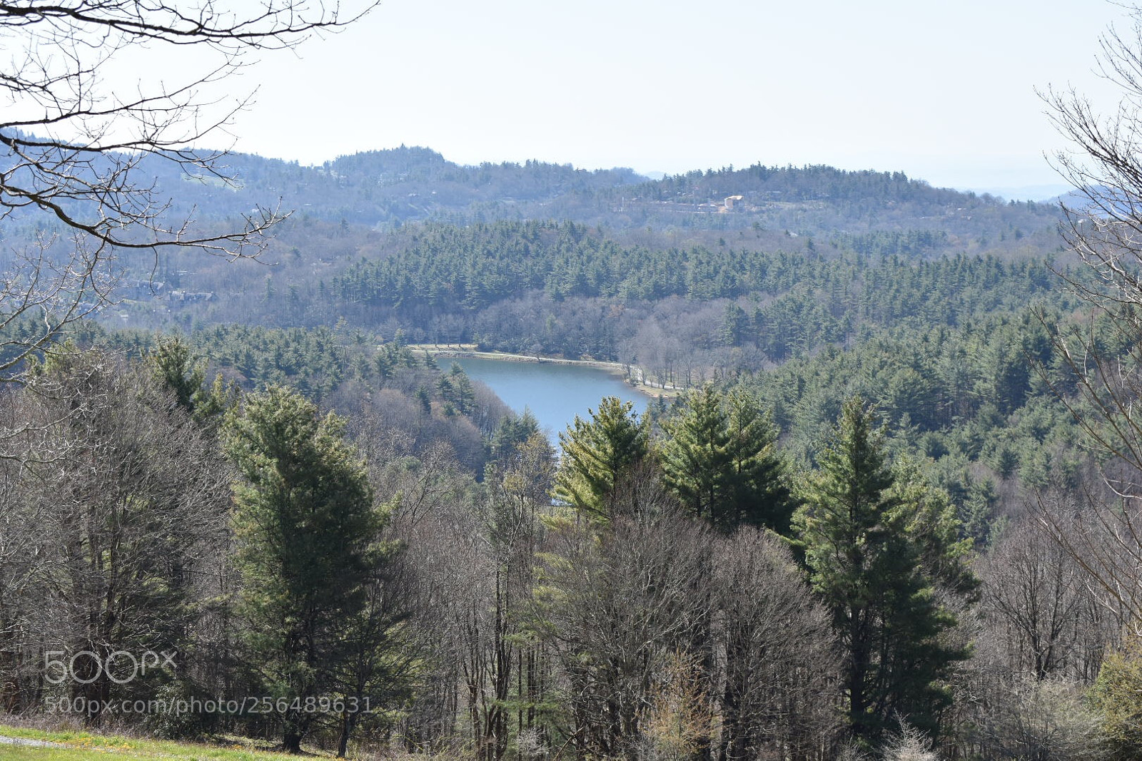 Nikon D3400 sample photo. Bass lake photography