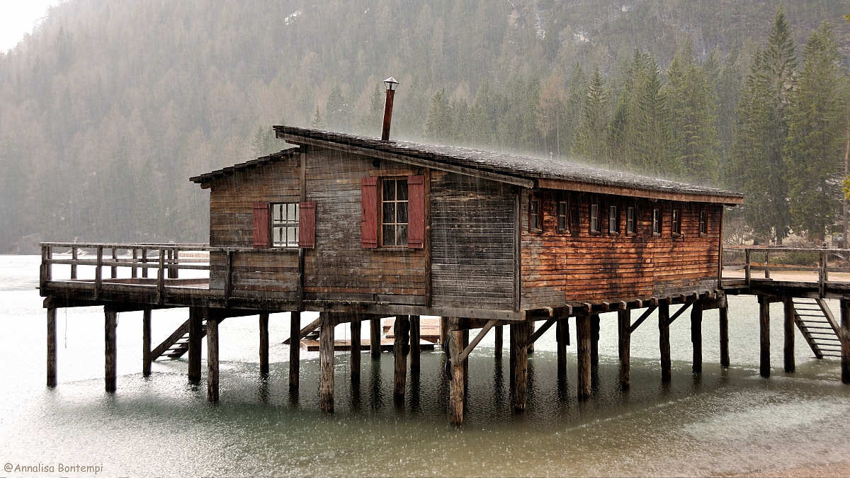 Nikon D90 sample photo. Pioggia a braies photography