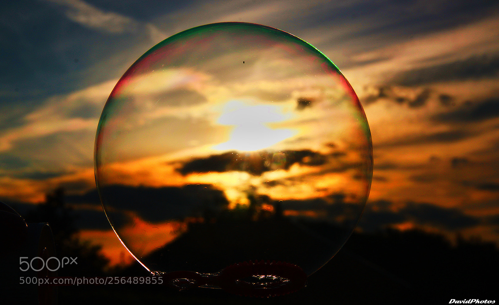 Canon EOS 500D (EOS Rebel T1i / EOS Kiss X3) sample photo. Sunset in a bubble photography