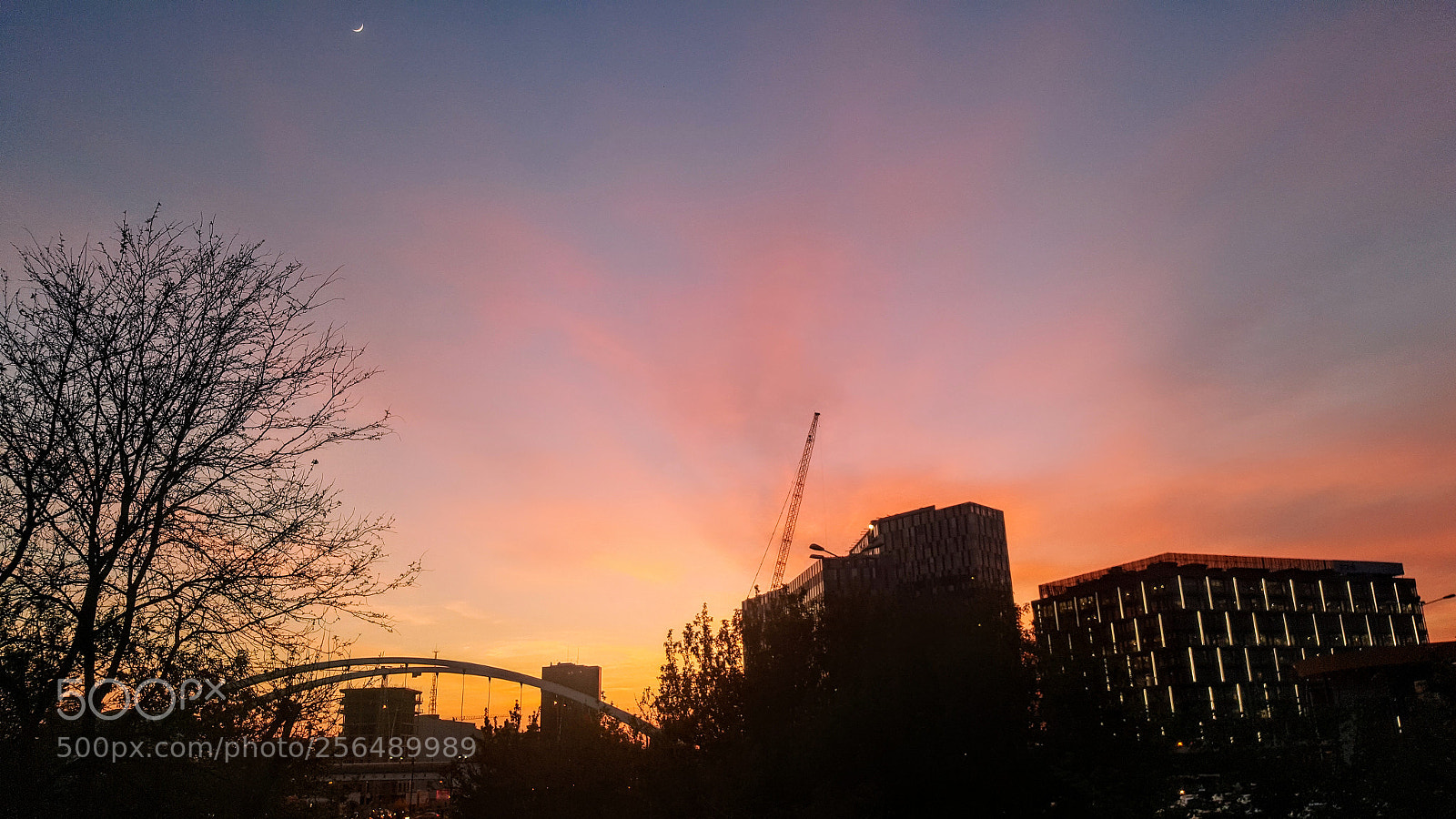 Samsung Galaxy S6 sample photo. Untitled photography
