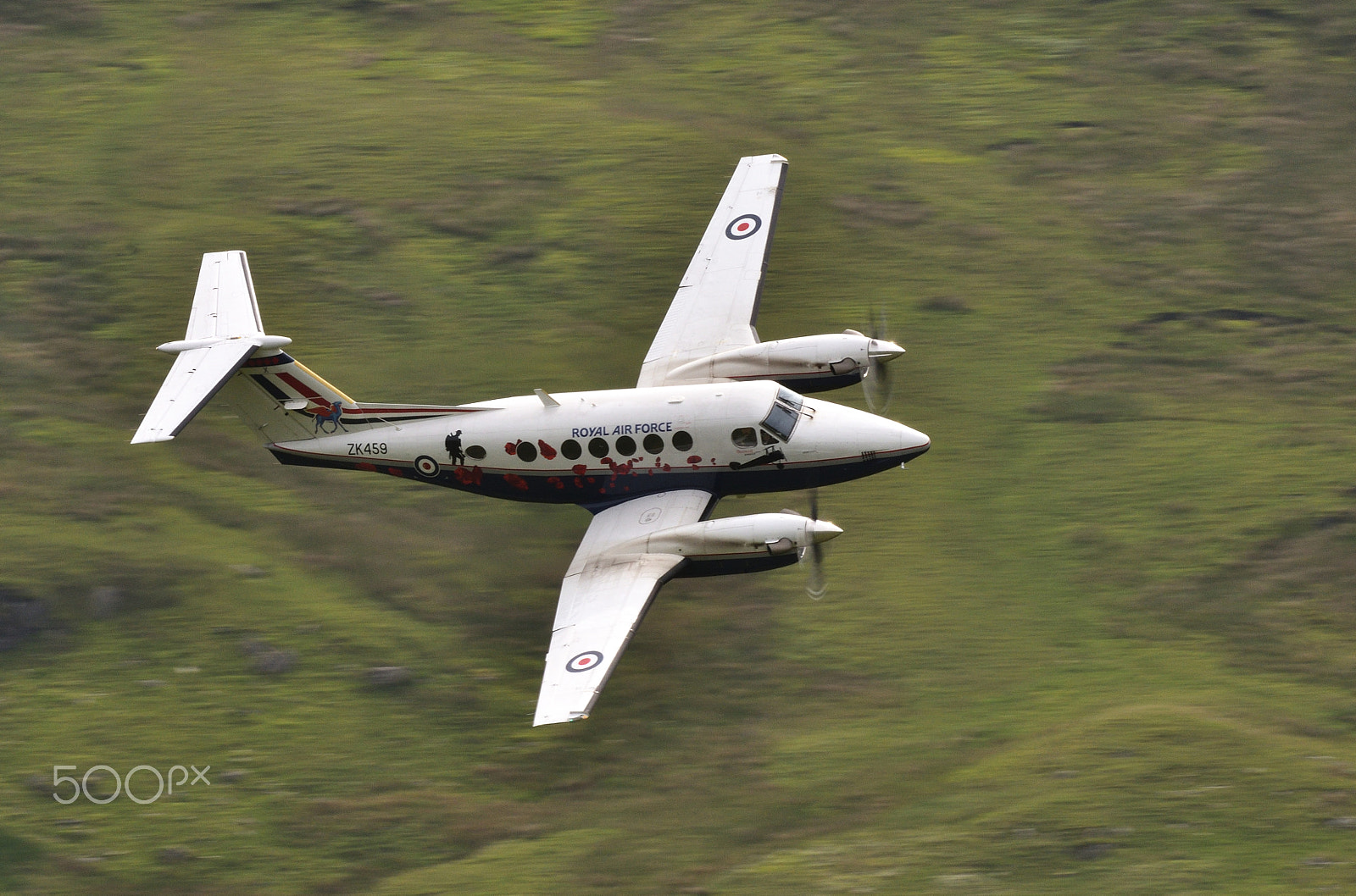 Nikon D500 sample photo. King air - poppy photography