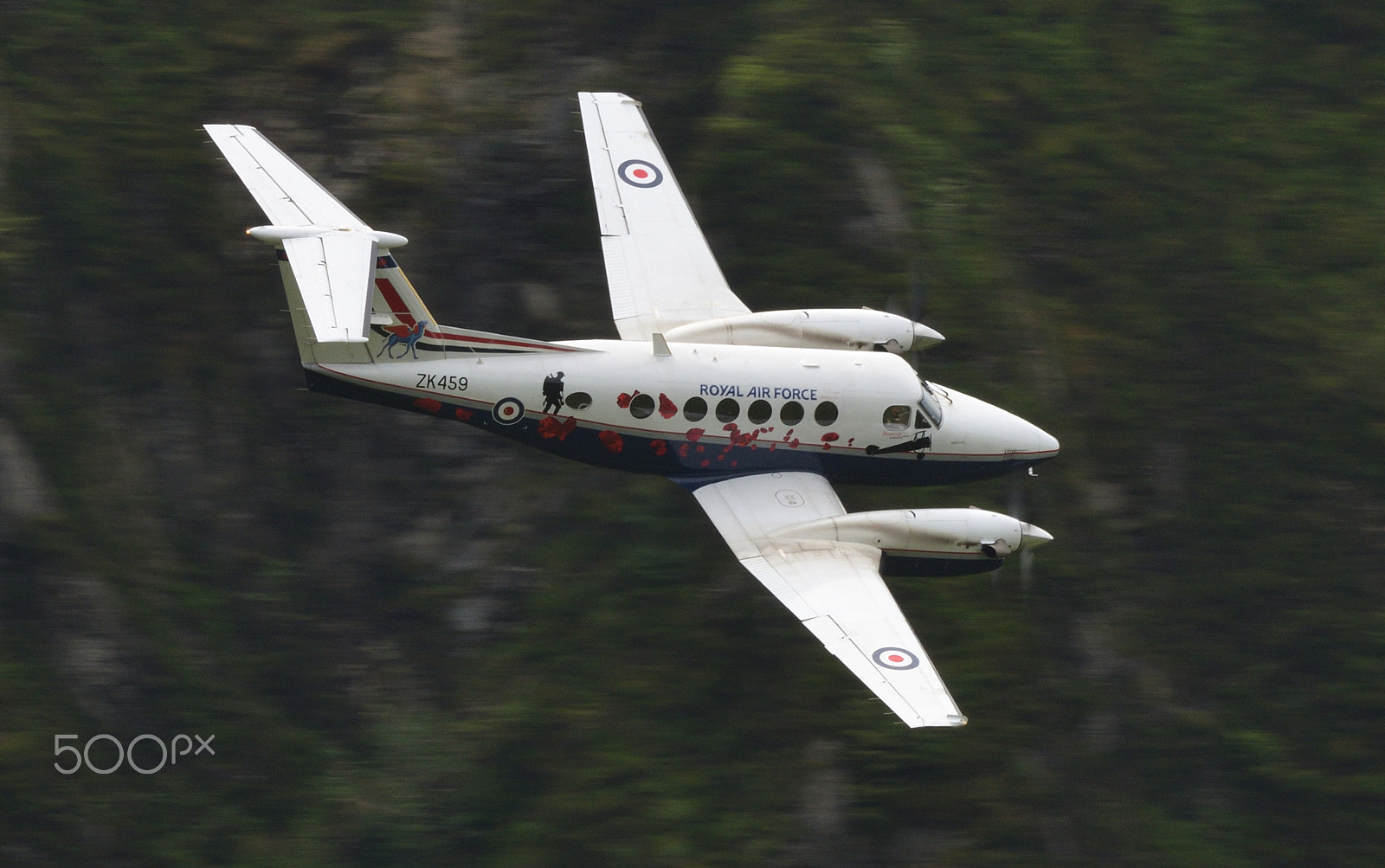 Nikon D500 sample photo. King air - poppy photography