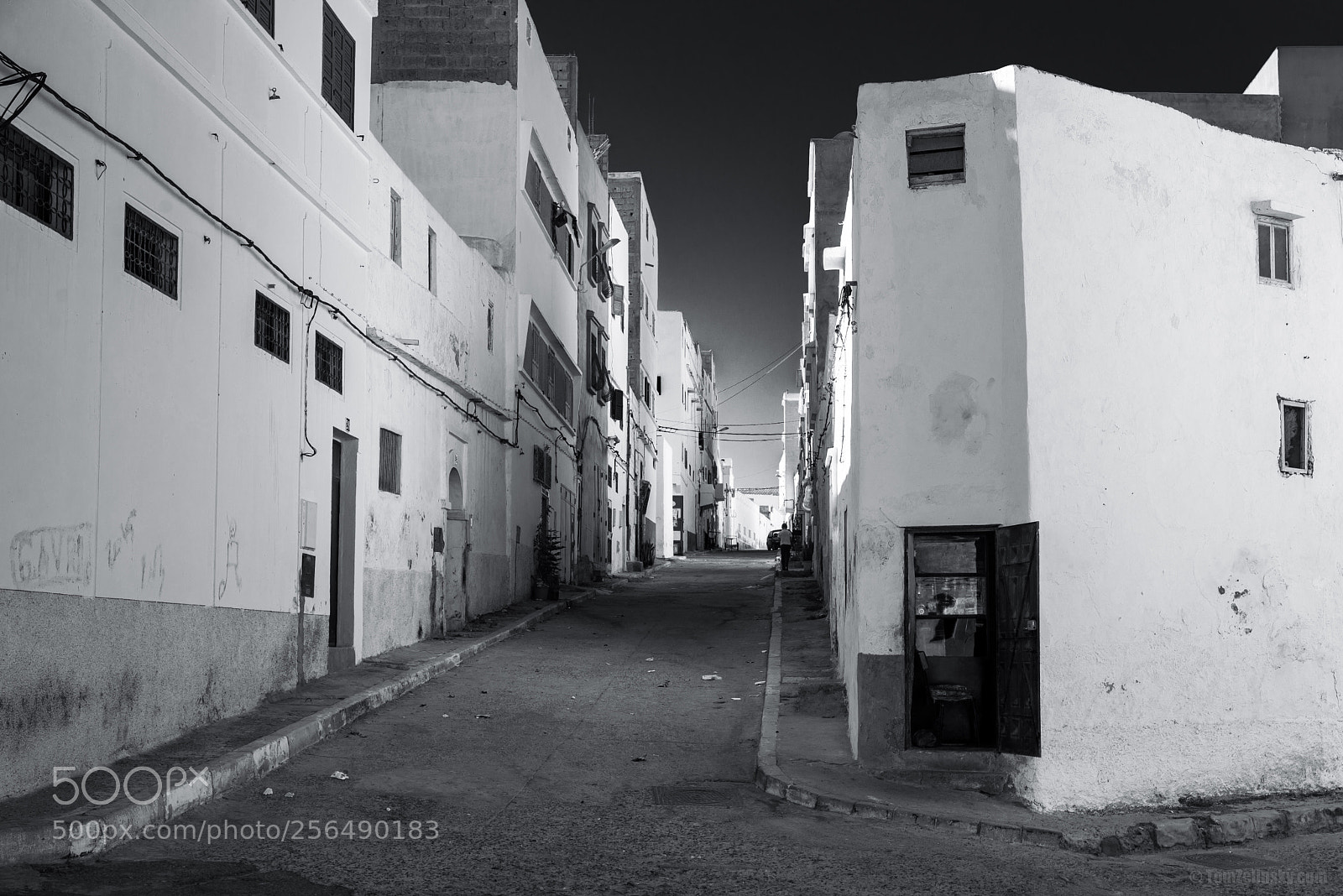 Nikon D610 sample photo. The street with no photography