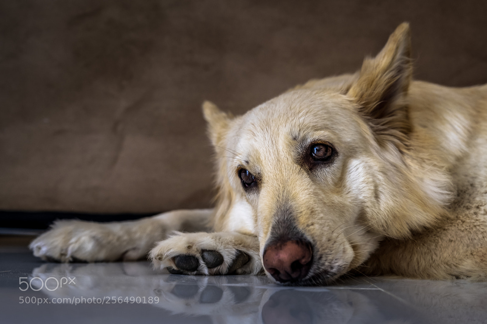 Fujifilm X-T2 sample photo. Leah photography