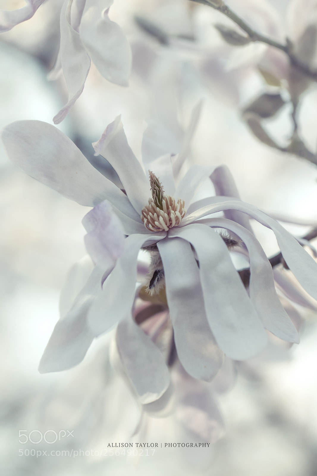 Canon EOS 7D Mark II sample photo. Reach out photography