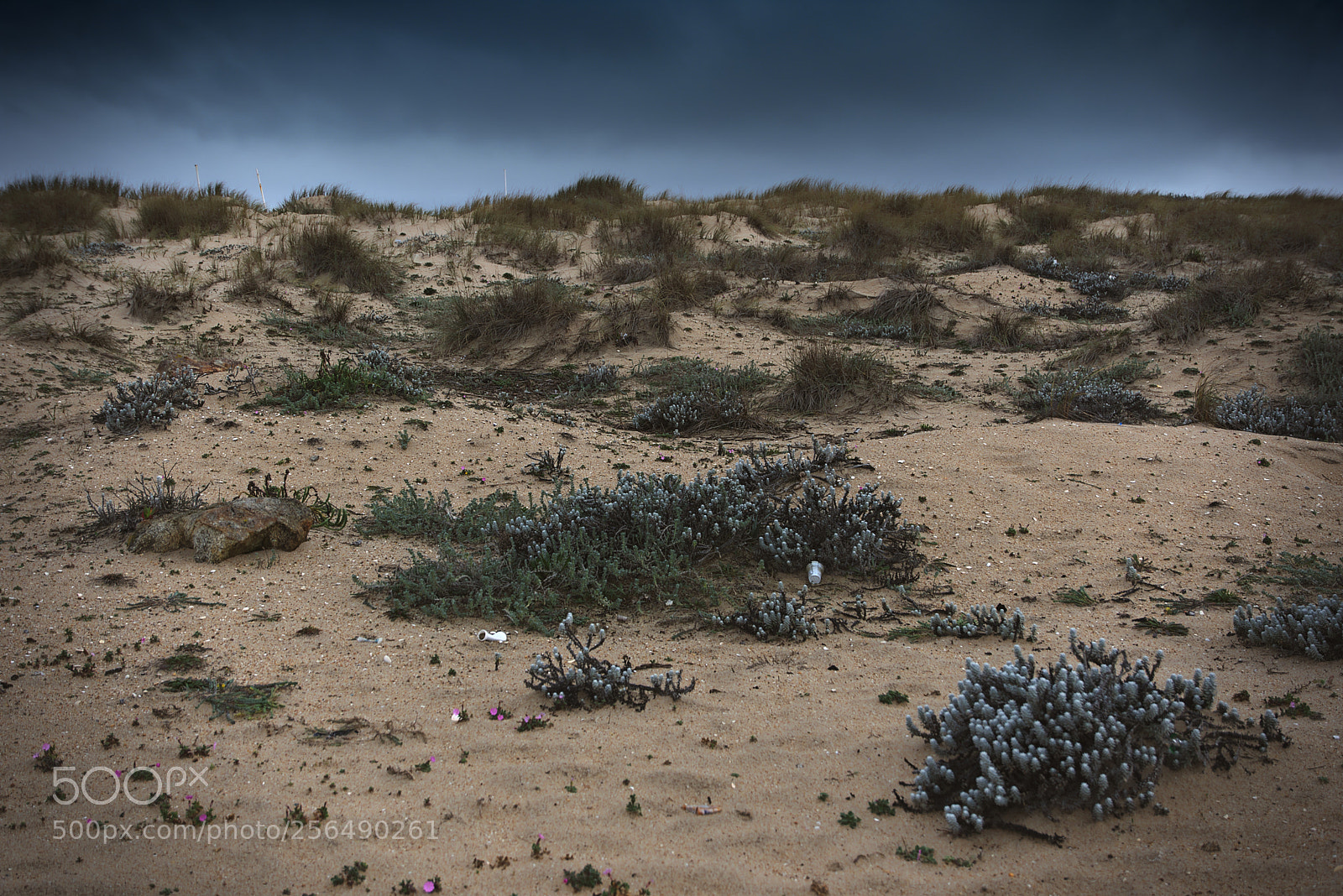 Nikon D7200 sample photo. Dull beach day photography