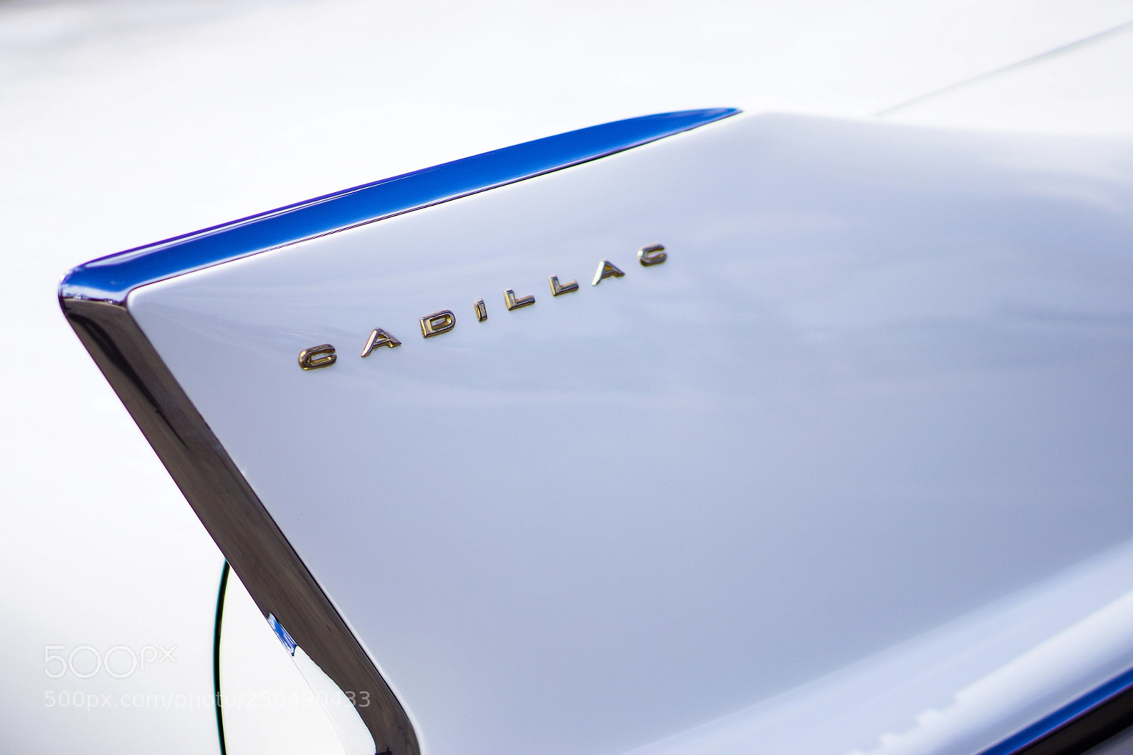 Sony Alpha NEX-7 sample photo. Tail fin photography