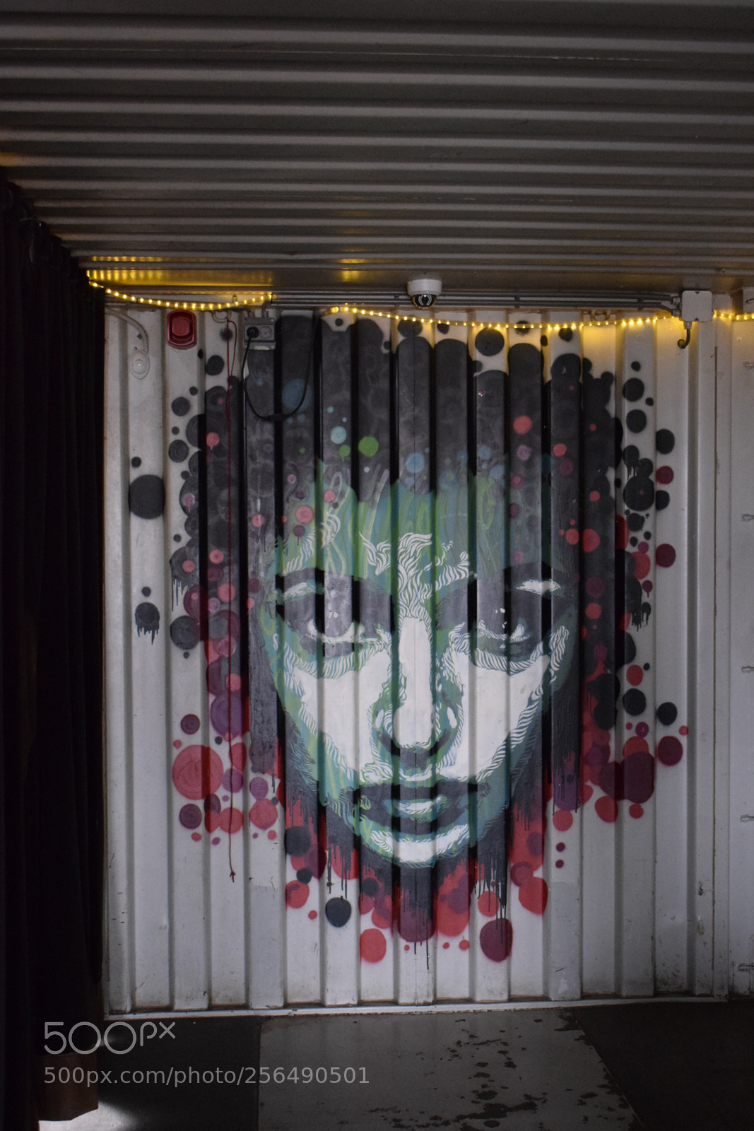 Nikon D3300 sample photo. Graffiti face photography