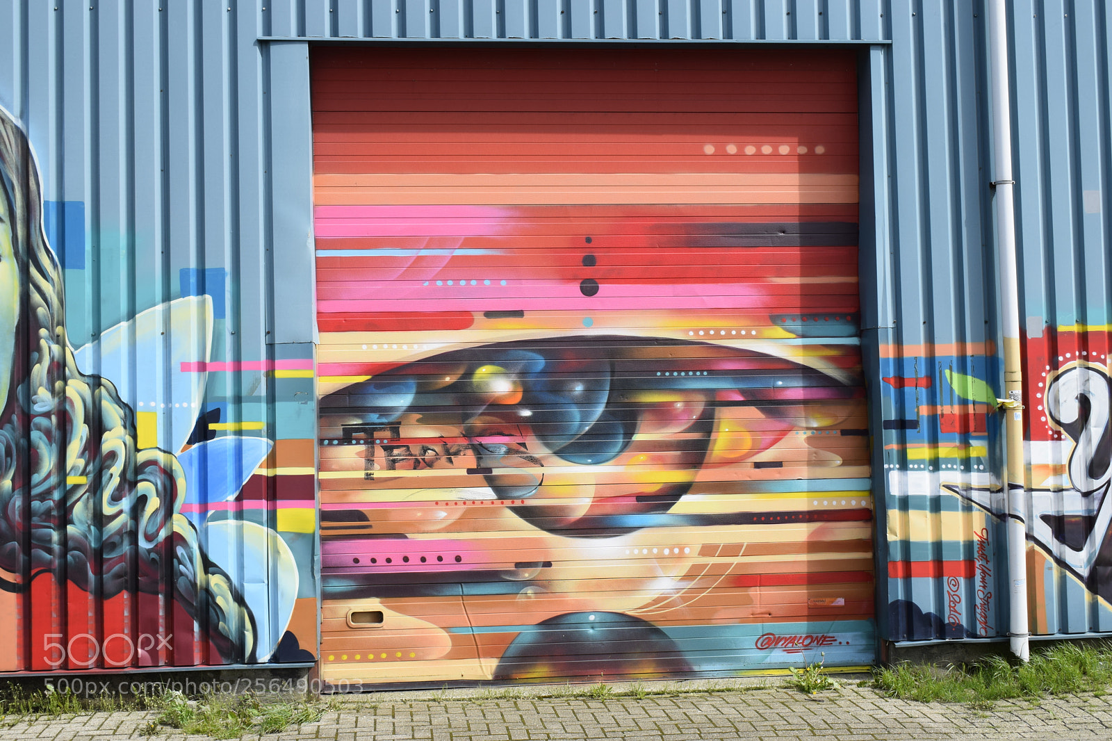 Nikon D3300 sample photo. Graffiti eye photography