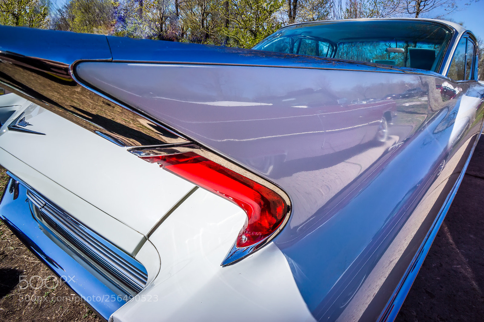 Sony Alpha NEX-7 sample photo. Fin-ster photography