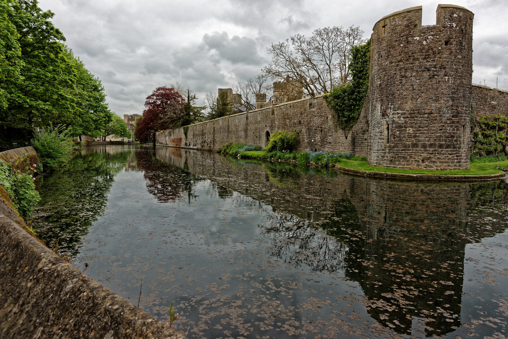 Sony Alpha DSLR-A900 sample photo. Moat photography