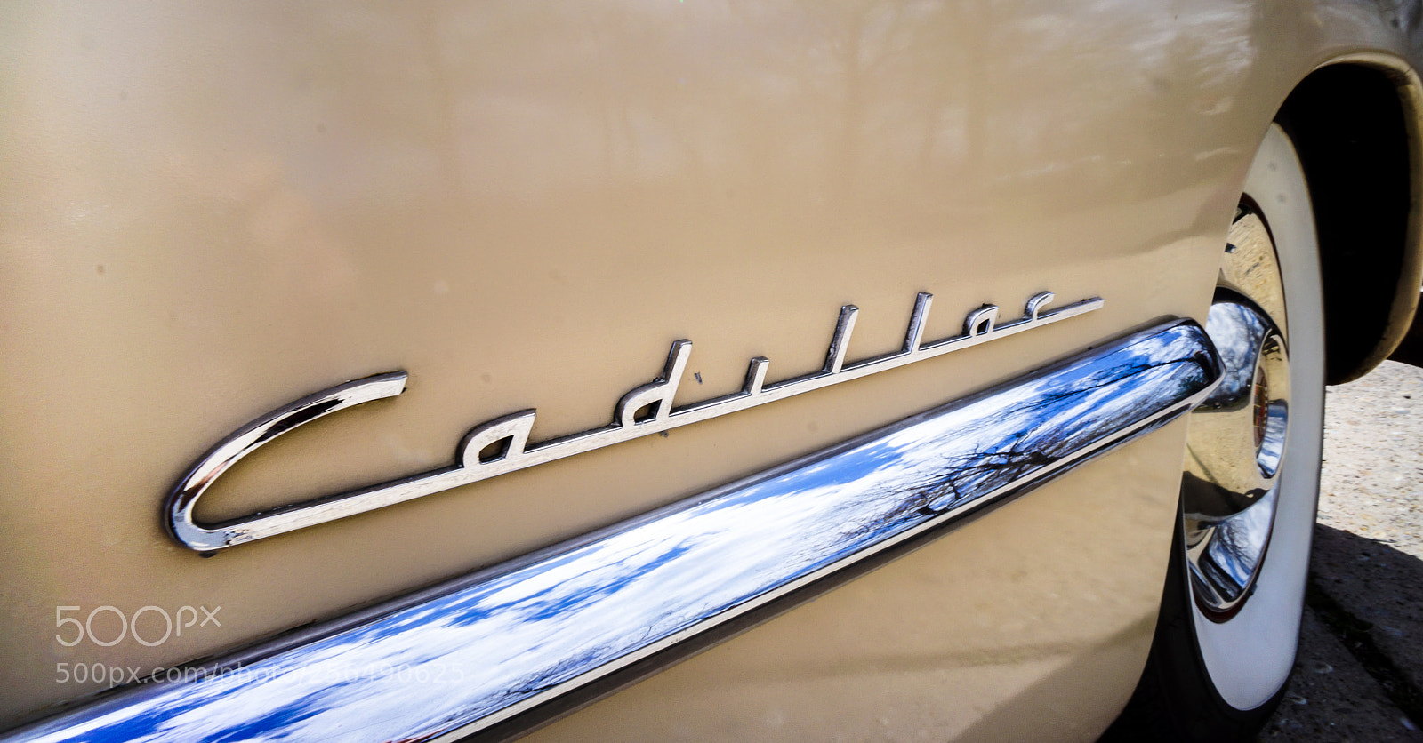 Sony Alpha NEX-7 sample photo. Name brand photography