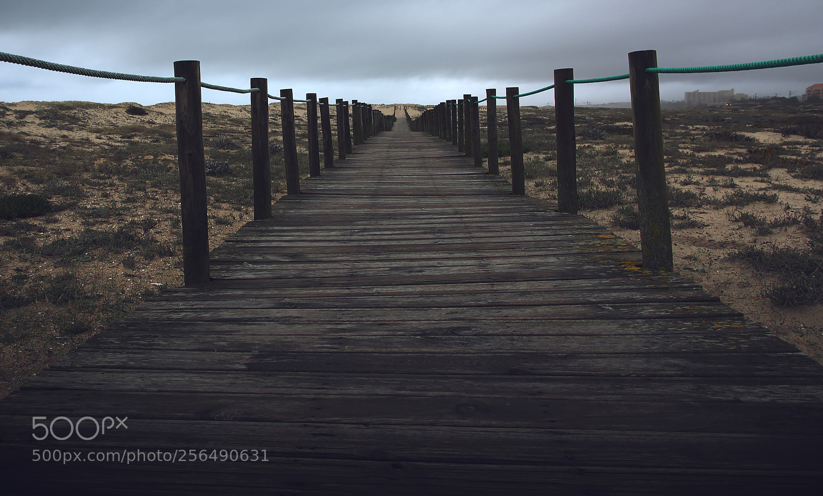 Nikon D7200 sample photo. Wooden path photography