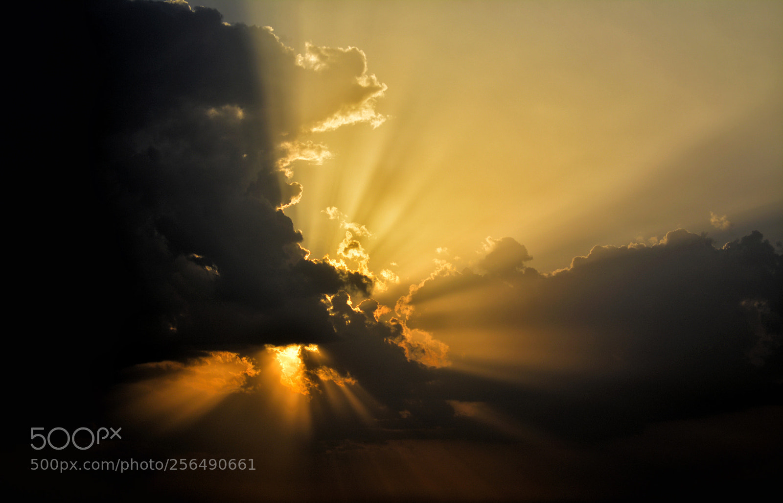 Nikon D5200 sample photo. Hidden light photography