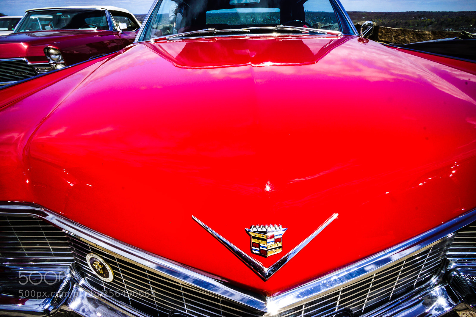 Sony Alpha NEX-7 sample photo. Looking good ! photography
