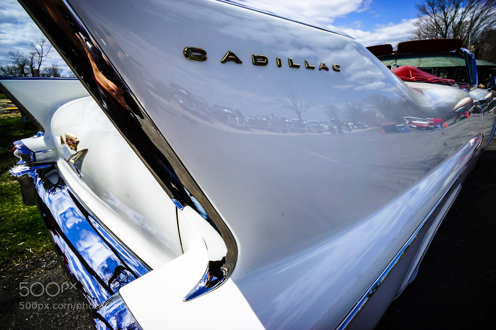 Sony Alpha NEX-7 sample photo. Caddy-fins photography