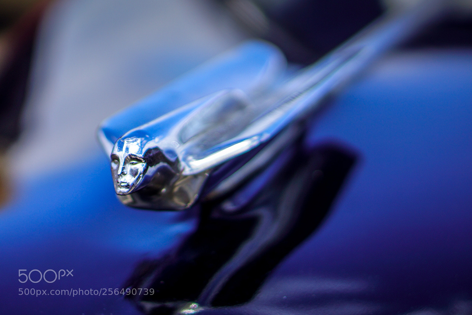 Sony Alpha NEX-7 sample photo. The face of speed photography