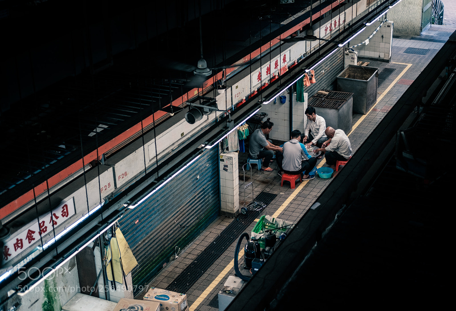 Fujifilm X-Pro2 sample photo. ...4 lifes... photography