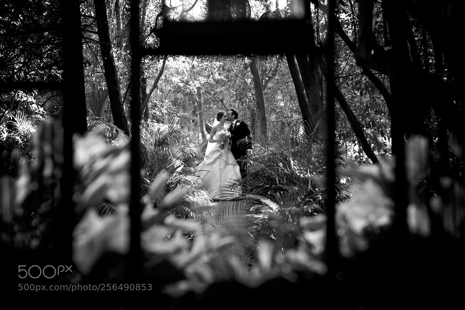 Sony a9 sample photo. Manuel valderrama photography