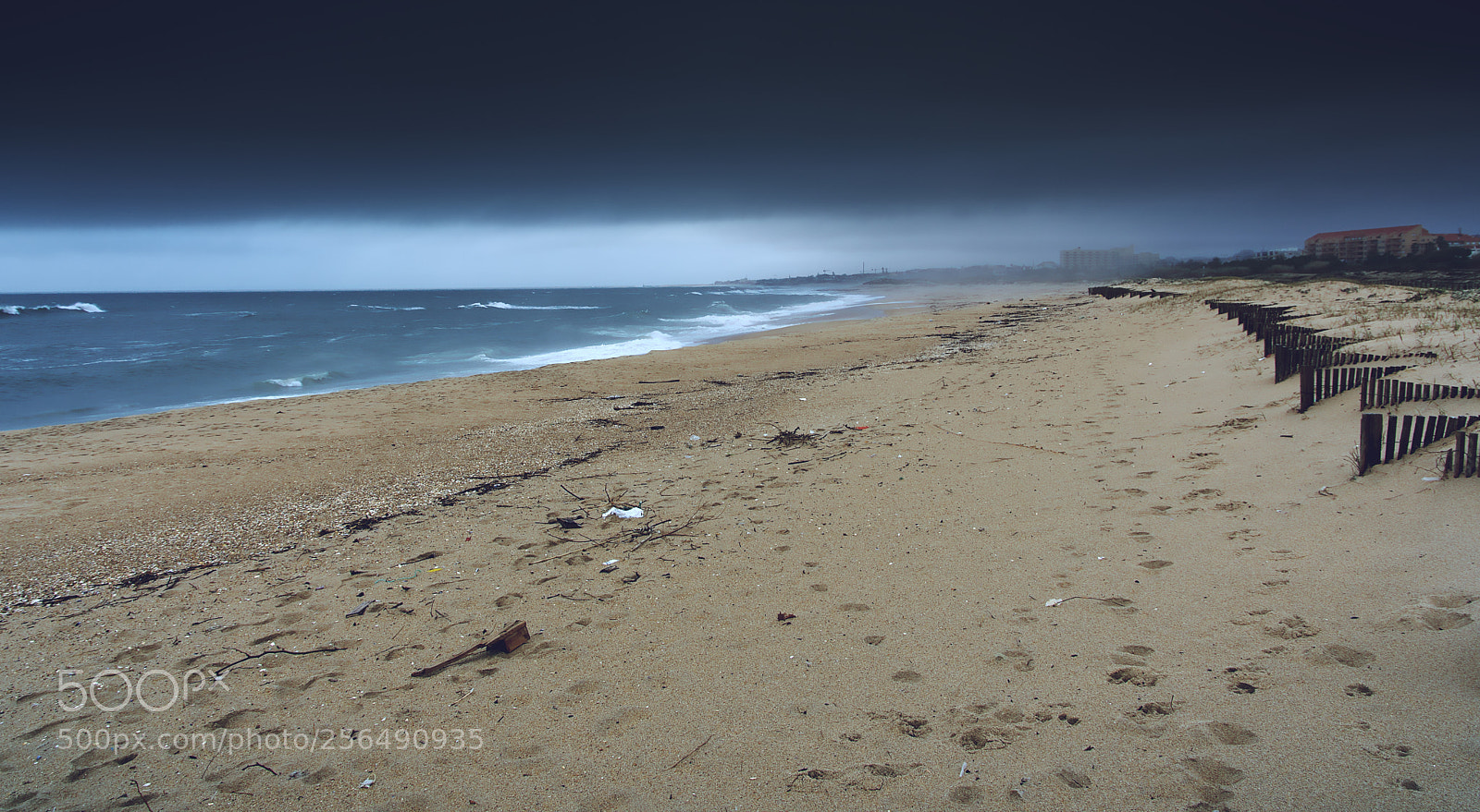 Nikon D7200 sample photo. The beach and the photography