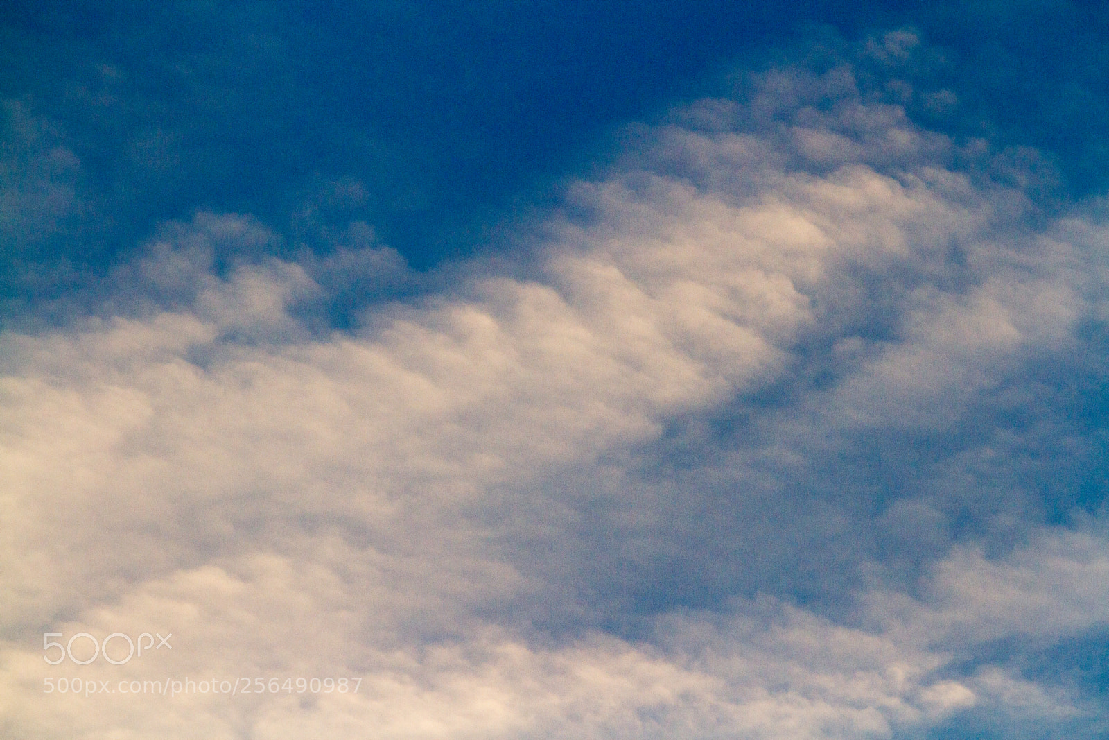 Canon EOS 7D sample photo. Untitled photography