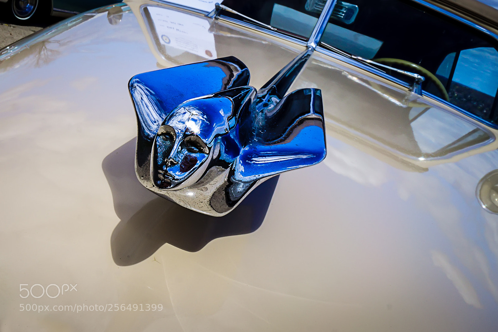 Sony Alpha NEX-7 sample photo. Blue leader photography
