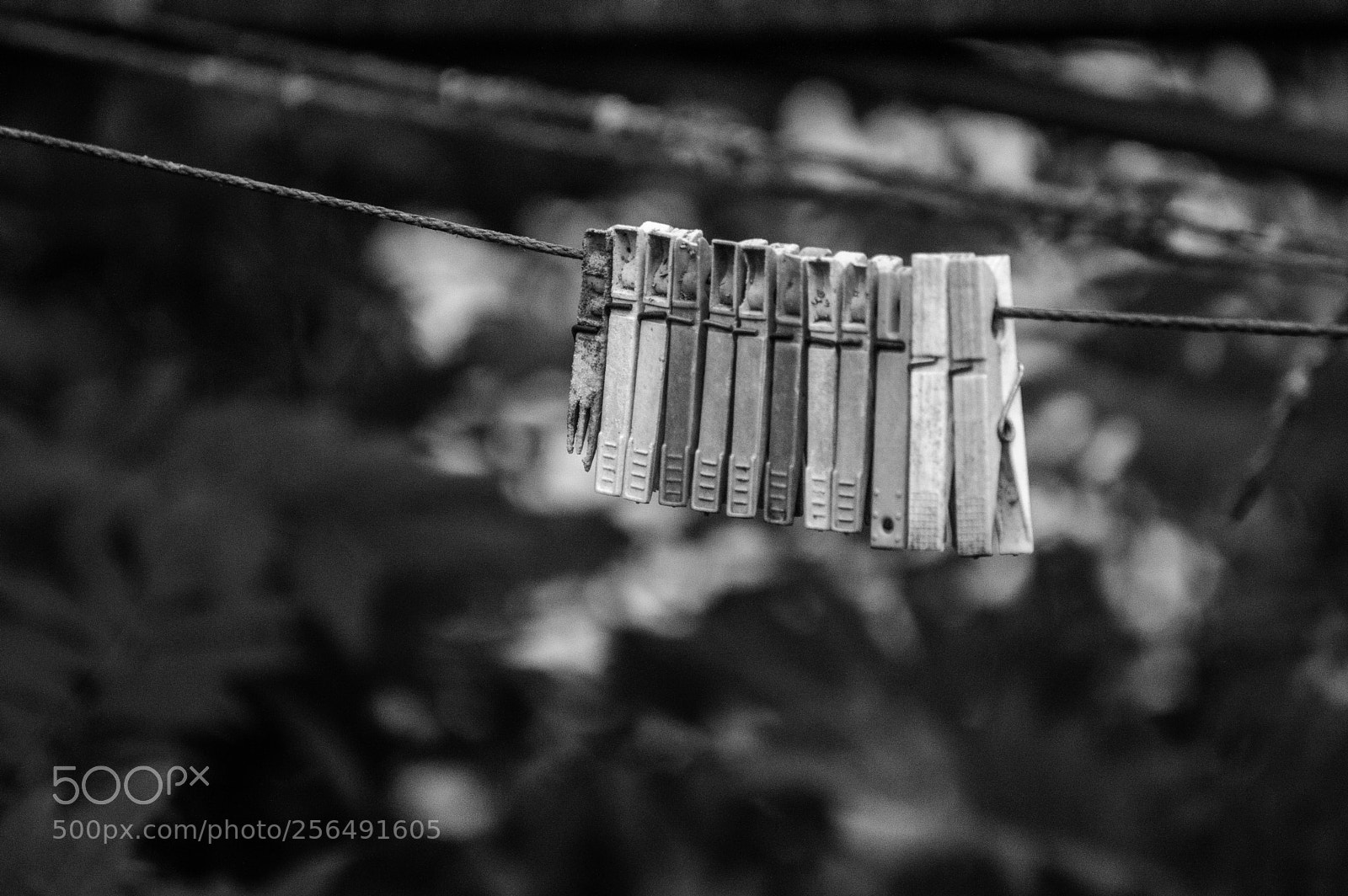 Nikon D3200 sample photo. Laundry day photography