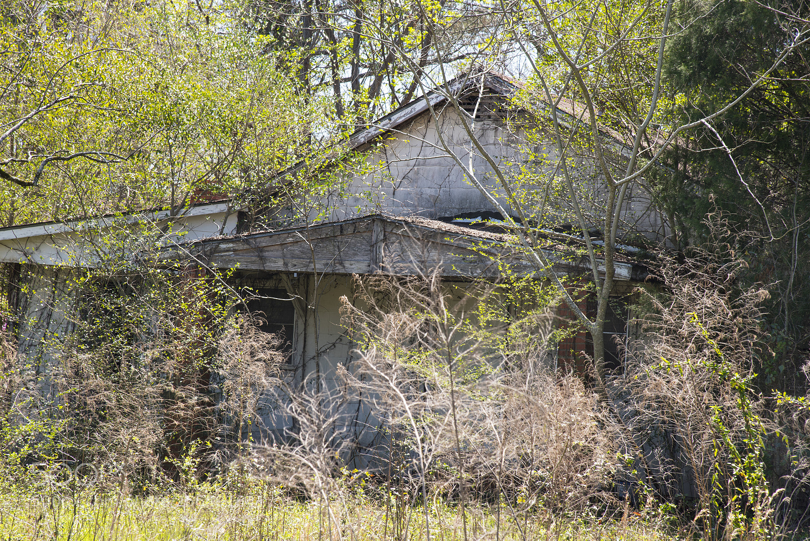 Nikon D750 sample photo. Corner house alabama the photography