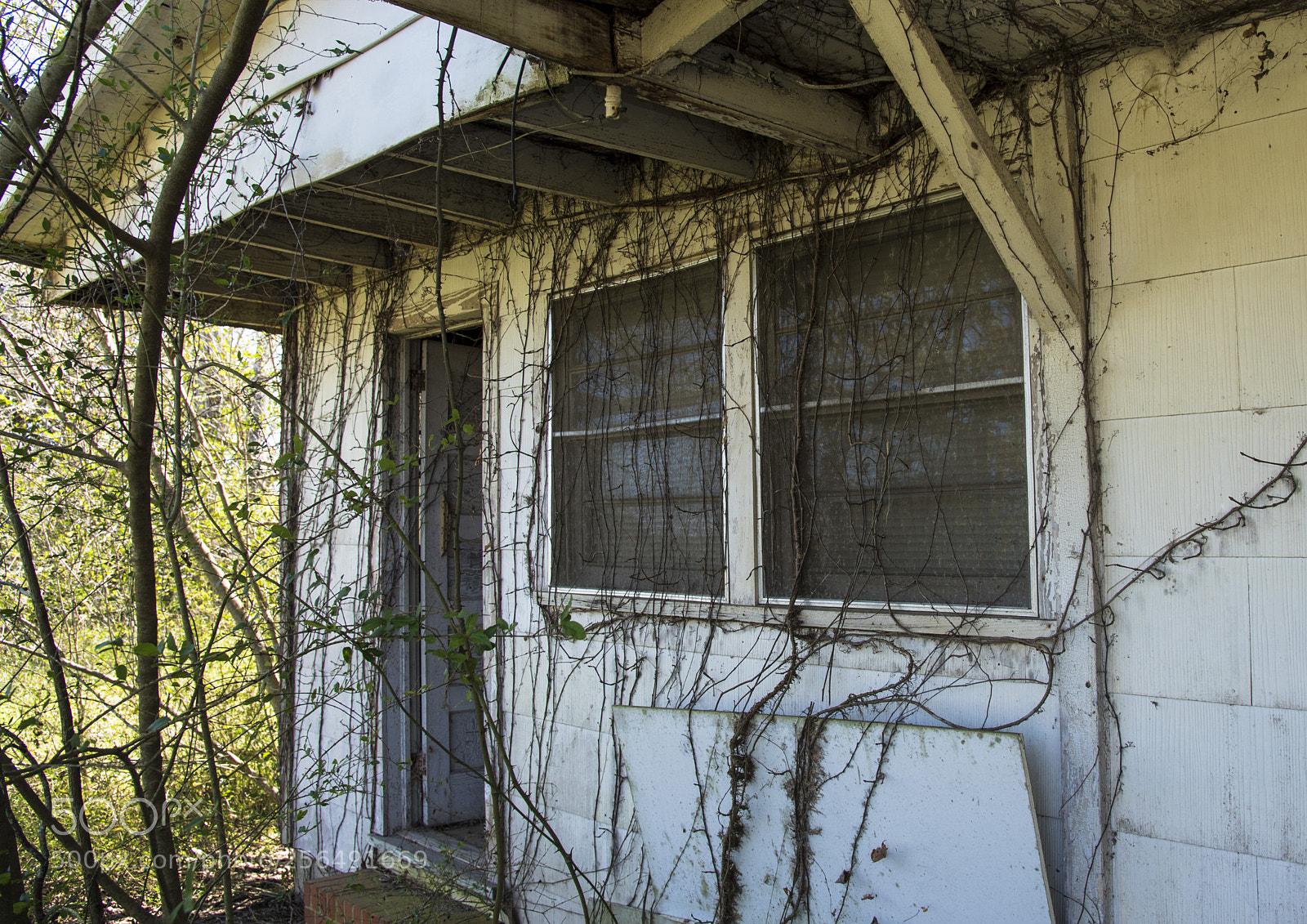 Nikon D750 sample photo. Corner house alabama vines photography