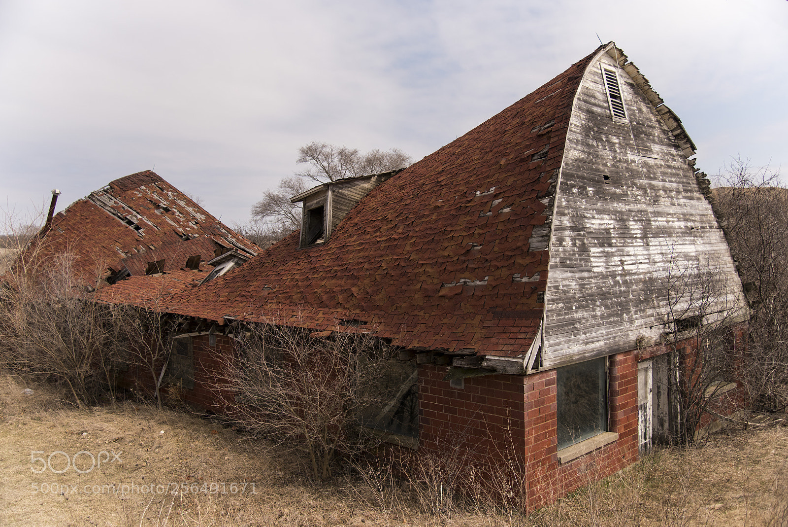 Nikon D750 sample photo. Untitled photography