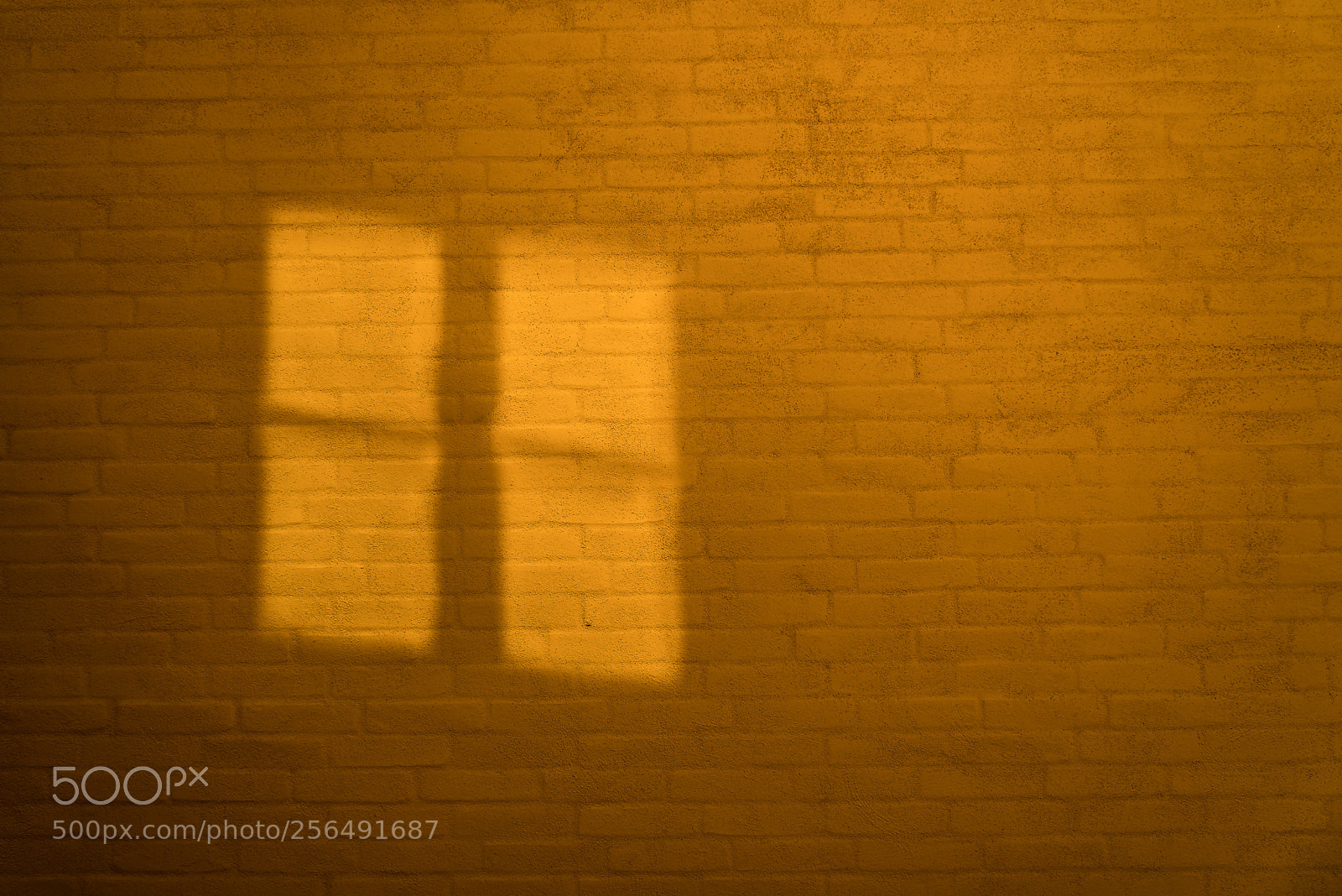 Nikon D750 sample photo. Windows 11 .... out now photography