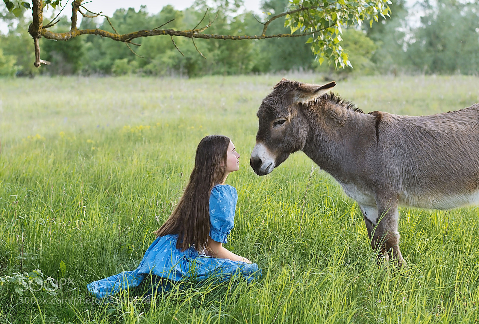 Nikon D7100 sample photo. Girl with donkey photography