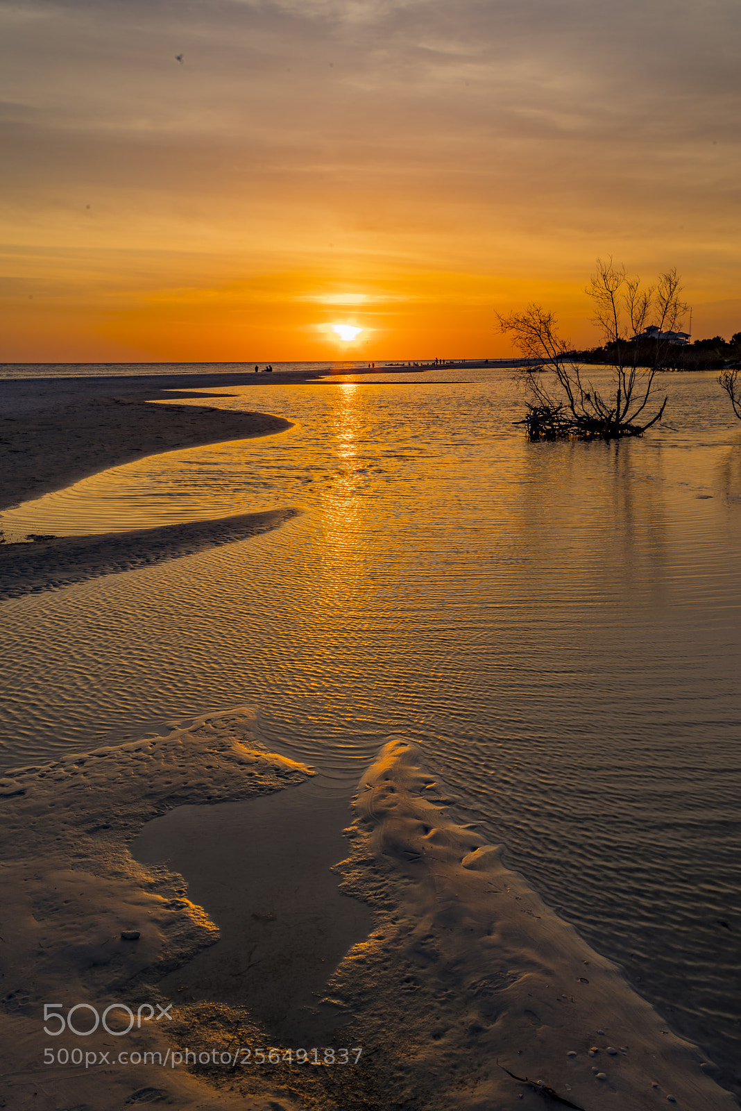Pentax K-1 sample photo. Honeymoon island sunset... photography