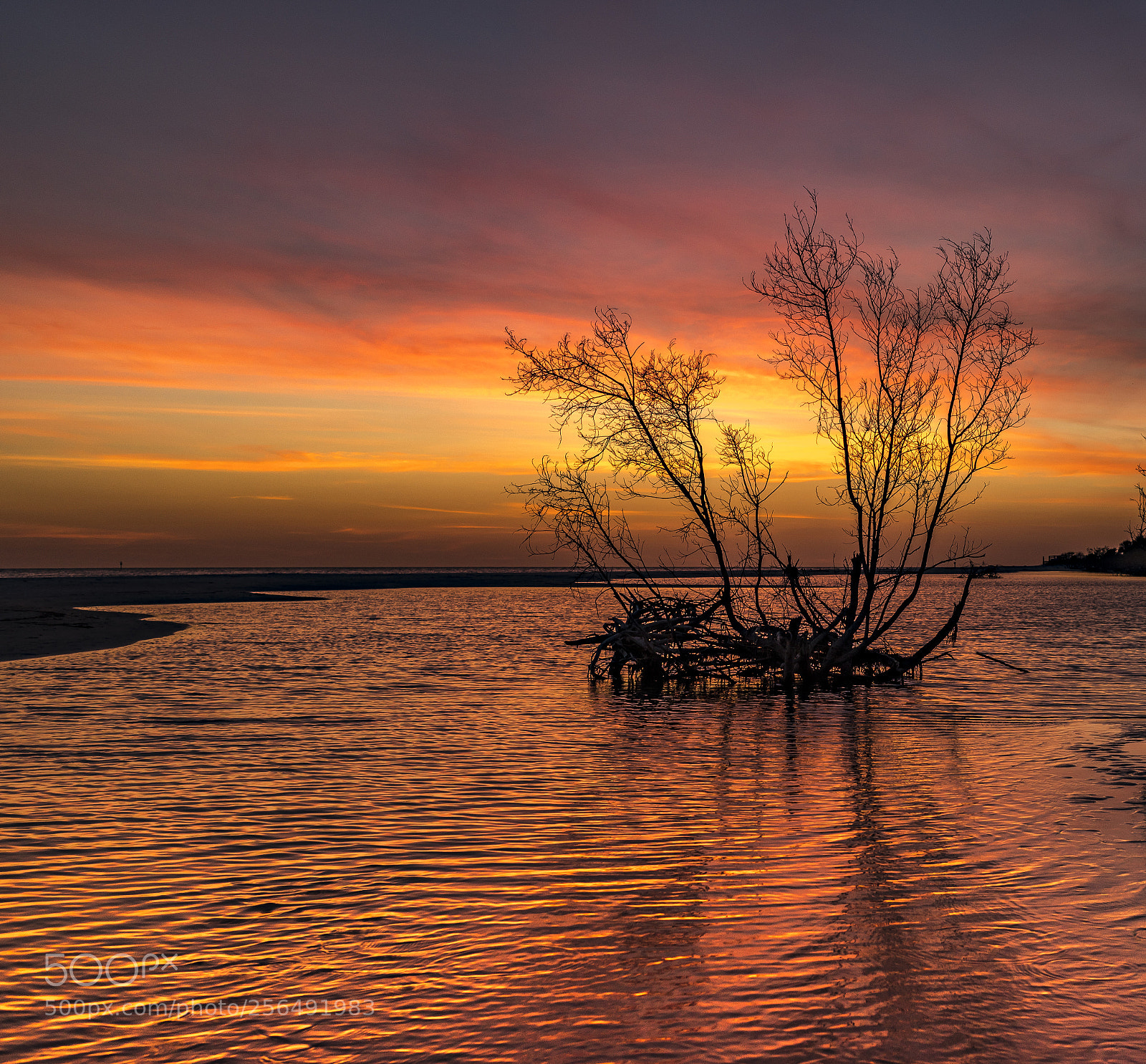 Pentax K-1 sample photo. Honeymoon island sunset.... photography